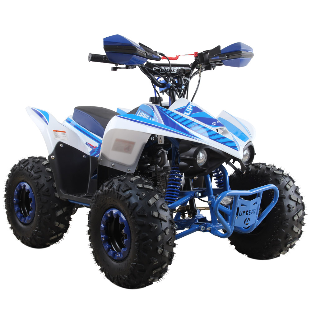 110CC ATV kawasaki style