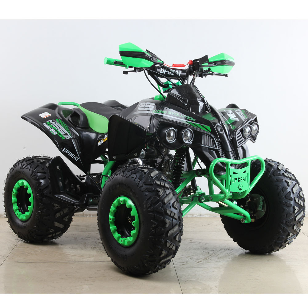 125CC ATV kawasaki style